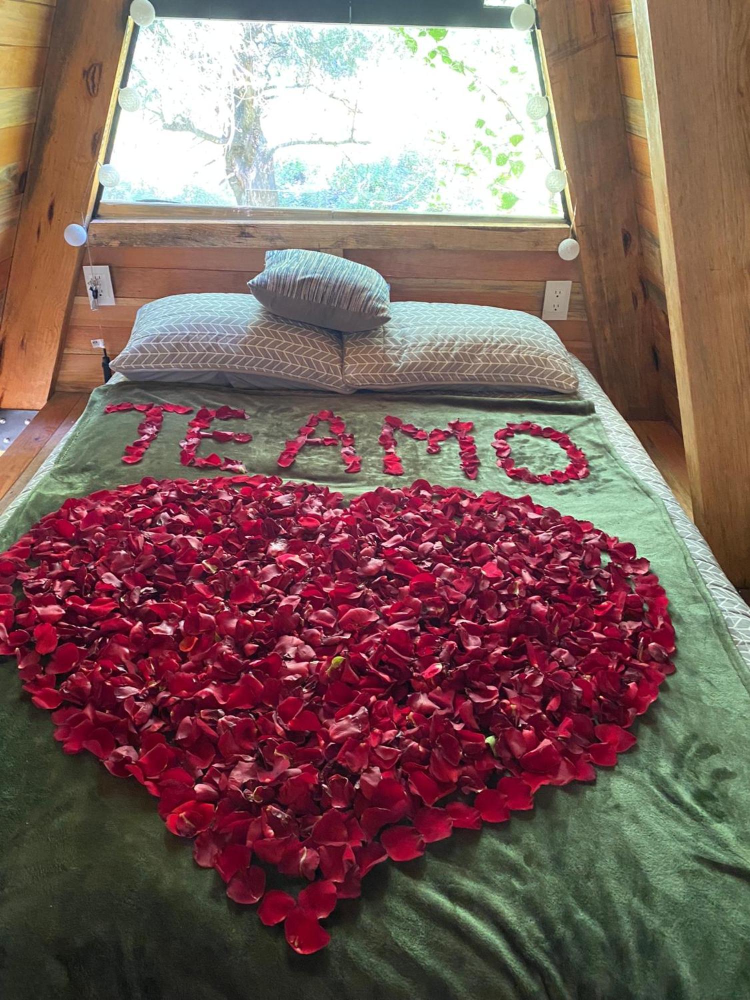 Cabanas Alpina, Romantica Y Acogedora A 10 Minutos Del Centro Tepoztlán Eksteriør billede