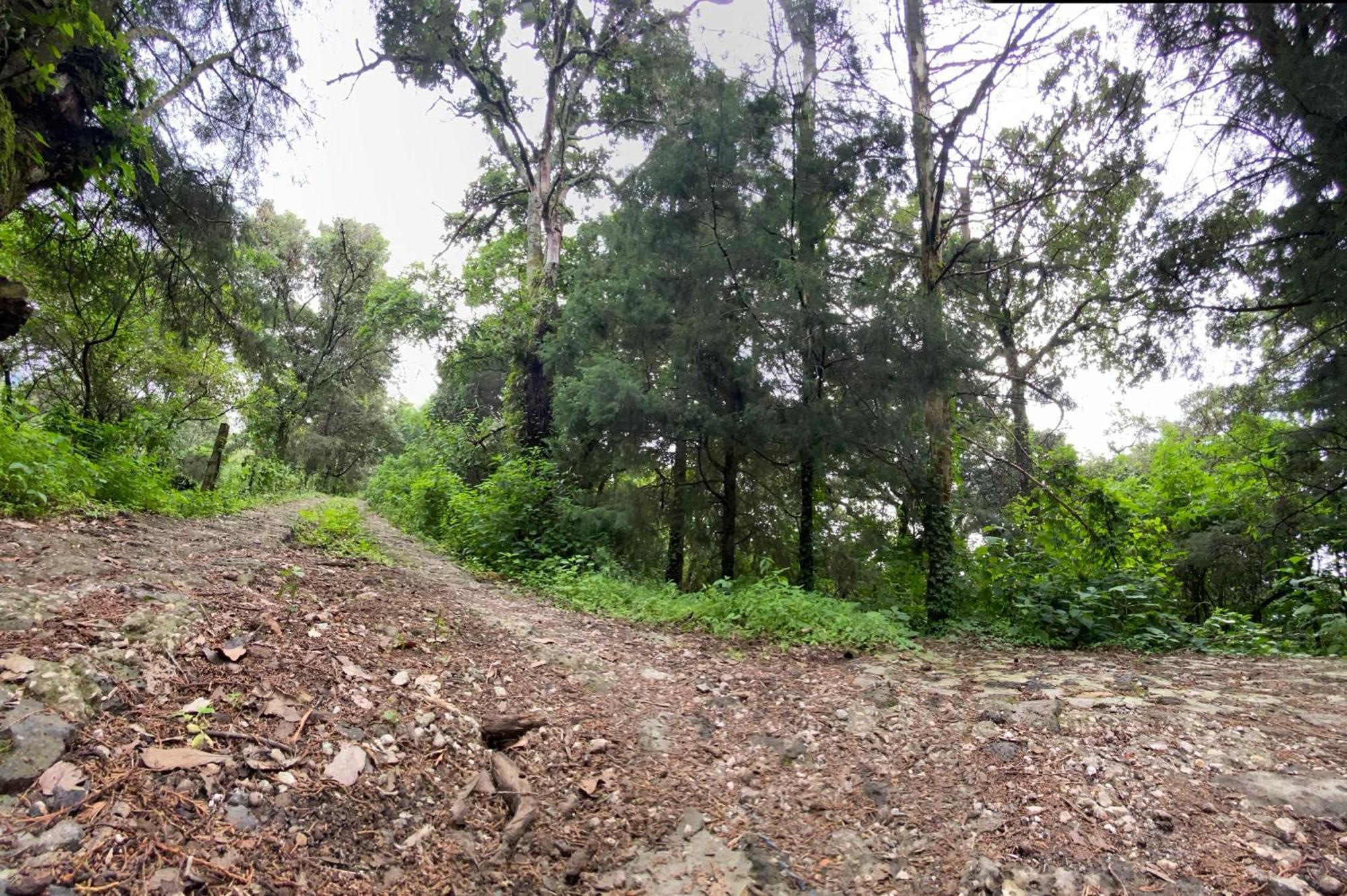 Cabanas Alpina, Romantica Y Acogedora A 10 Minutos Del Centro Tepoztlán Eksteriør billede