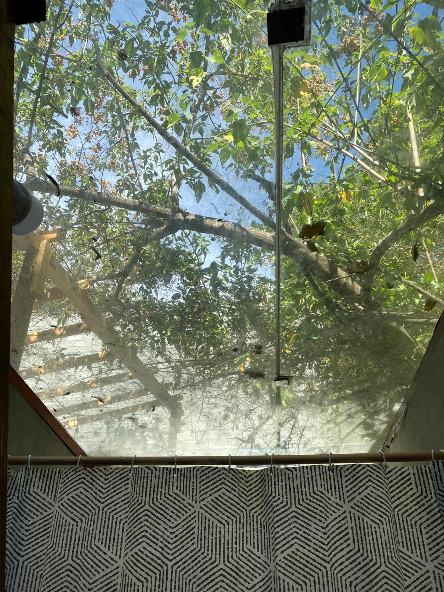 Cabanas Alpina, Romantica Y Acogedora A 10 Minutos Del Centro Tepoztlán Eksteriør billede