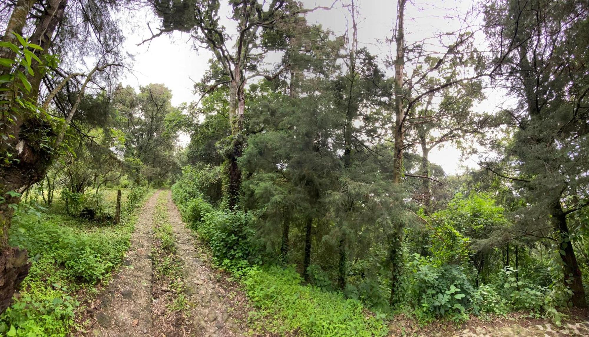 Cabanas Alpina, Romantica Y Acogedora A 10 Minutos Del Centro Tepoztlán Eksteriør billede
